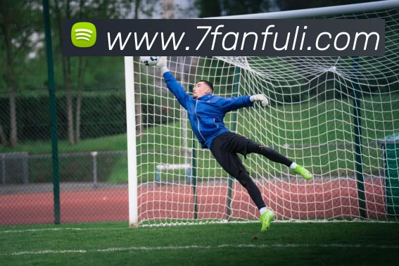 kaiyun网页登录入口平台生态图